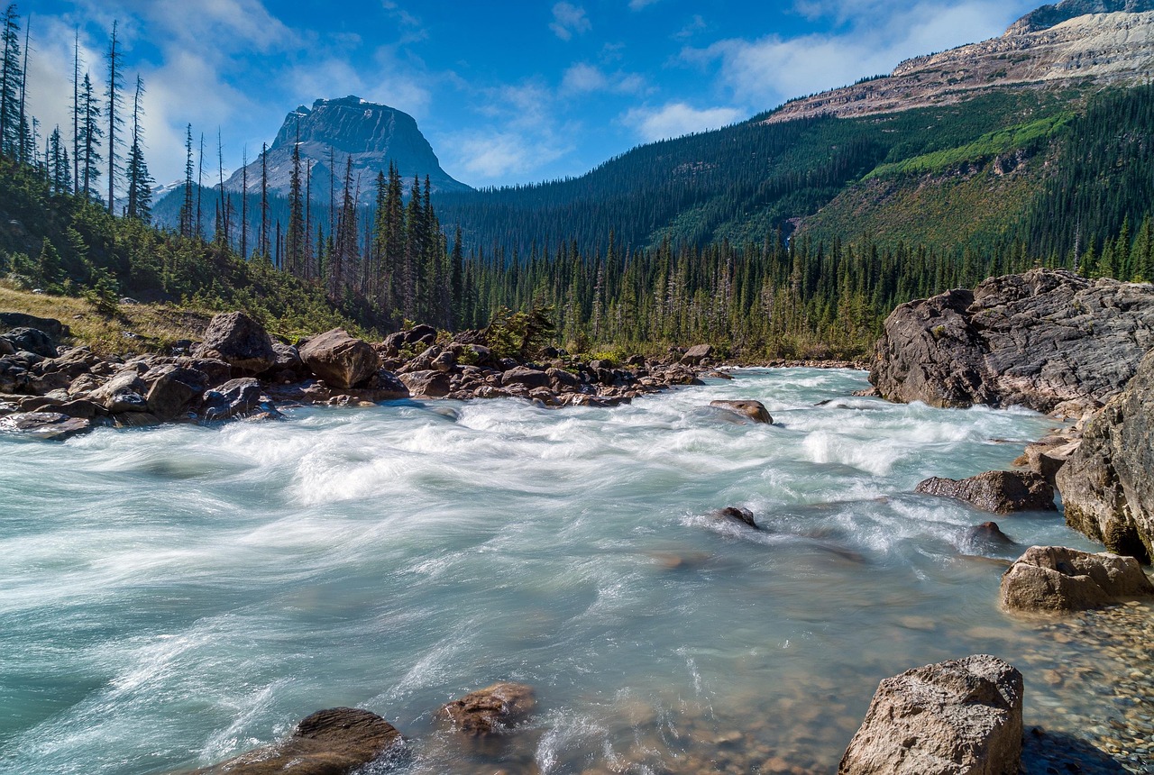 river, trees, mountains, water, flow, rocks, stream, woods, forest, mountain range, nature, national park, nature reserve, scenery, scenic, countryside, unesco world heritage, yoho national park, british columbia, canada, north america, river, river, river, stream, stream, british columbia, british columbia, british columbia, british columbia, canada, canada, canada, canada, canada, north america, north america, north america
